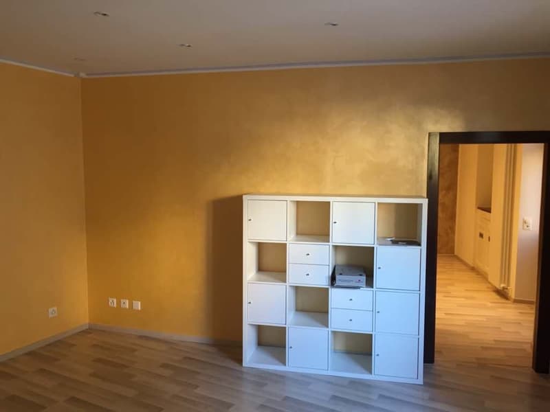 Storica casa plurifamiliare con 3 appartamenti in Piazza Grande, Riva San Vitale (6)