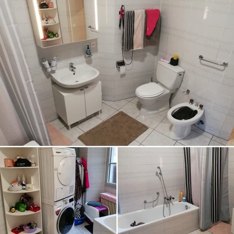 Storica casa plurifamiliare con 3 appartamenti in Piazza Grande, Riva San Vitale (8)
