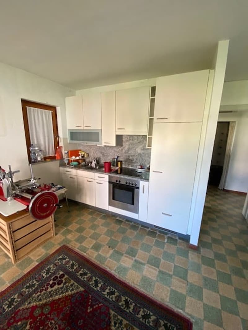 Charming single-family house in Mendrisio with private garden (3)