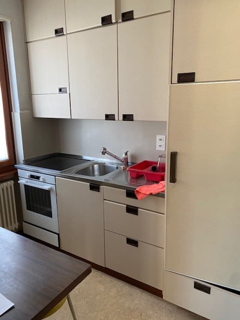 Charming single-family house in Mendrisio with private garden (2)