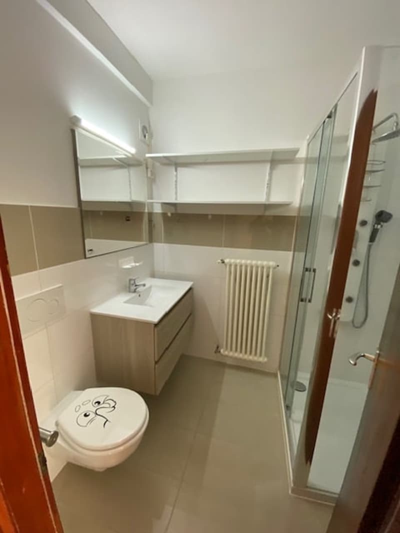 Luminoso appartamento di 3.5 locali con vista panoramica a Faido (4)