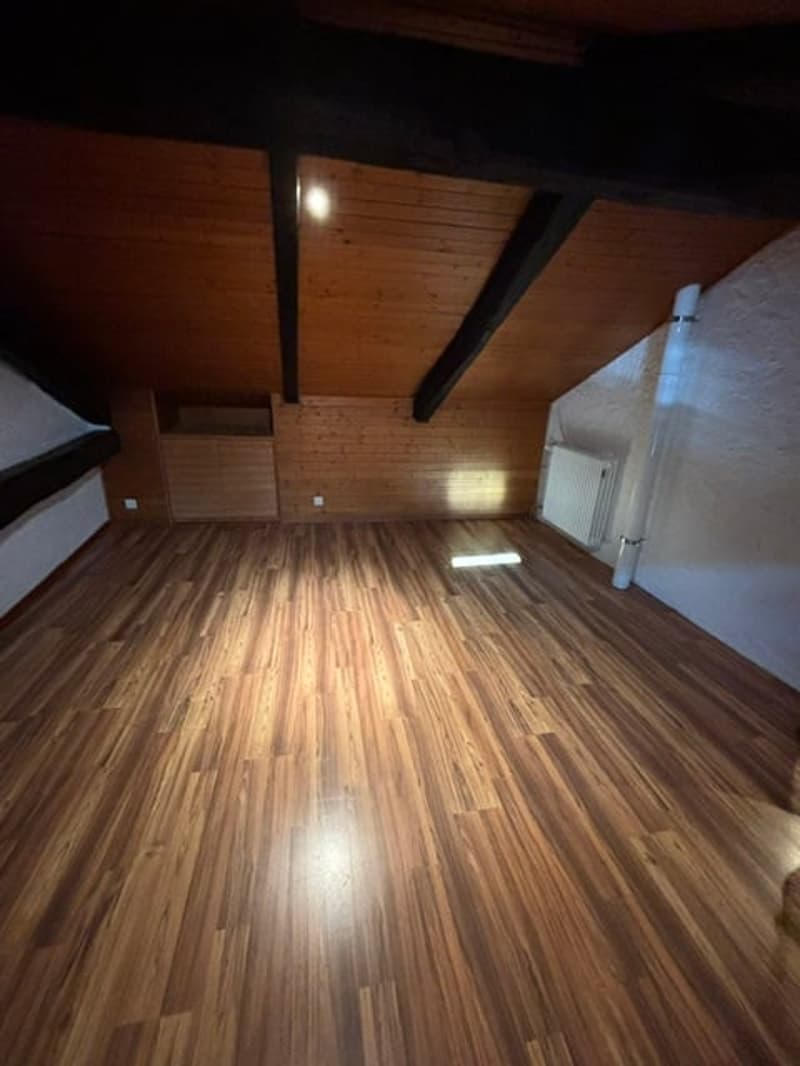 Affascinante appartamento di 2.5 locali duplex in edificio storico a Pambio-Noranco (4)