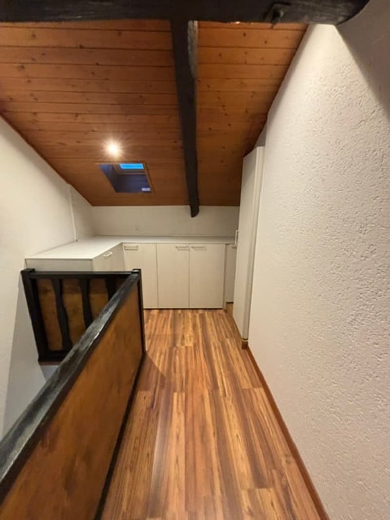 Affascinante appartamento di 2.5 locali duplex in edificio storico a Pambio-Noranco (6)