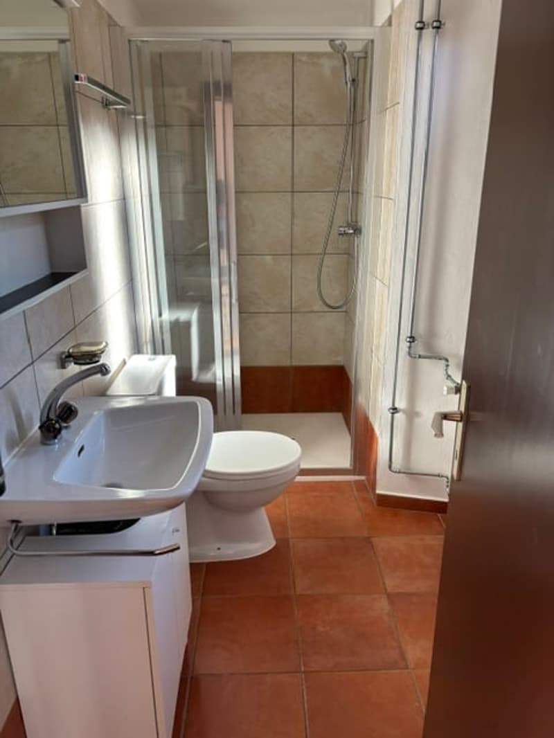 Affascinante appartamento di 2.5 locali duplex in edificio storico a Pambio-Noranco (3)