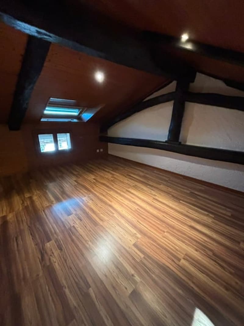 Affascinante appartamento di 2.5 locali duplex in edificio storico a Pambio-Noranco (5)