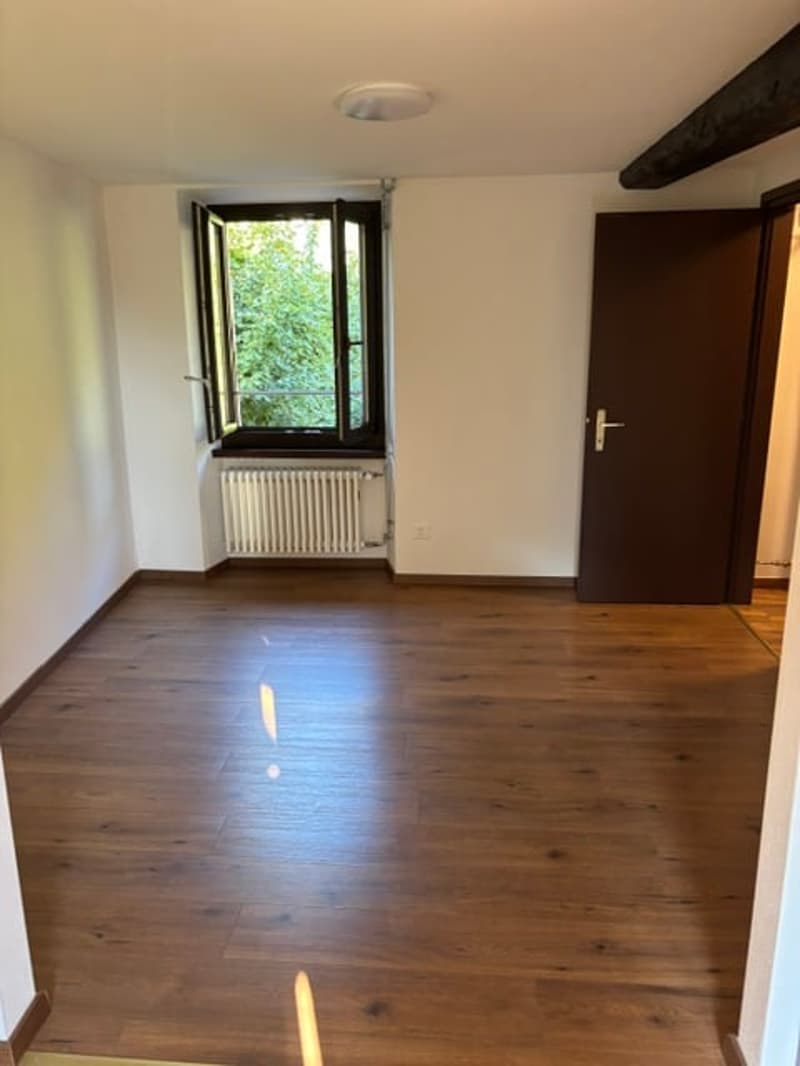 Affascinante appartamento di 2.5 locali duplex in edificio storico a Pambio-Noranco (2)