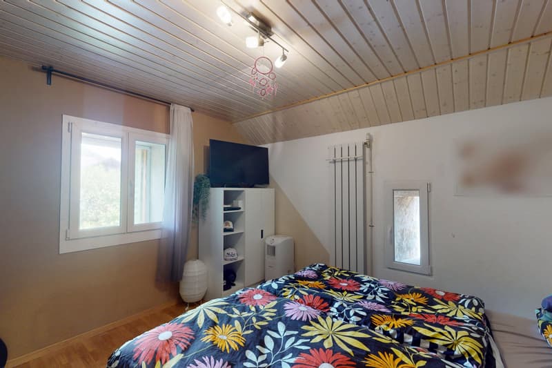 Generationenhaus mit Charme und Potenzial (12)