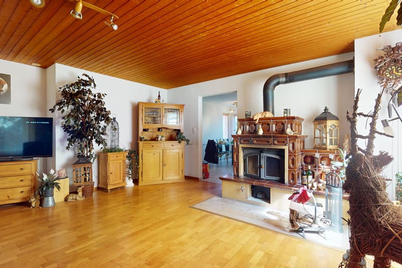 Charming apartment in a quiet location (5)