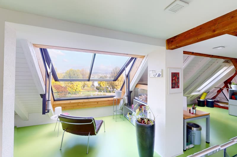 Exklusive Wohnung mit Dachterrasse (7)