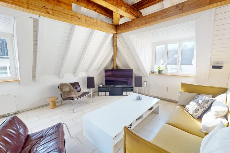 Exklusive Wohnung mit Dachterrasse (1)