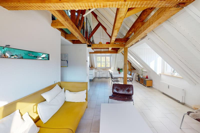 Exklusive Wohnung mit Dachterrasse (4)