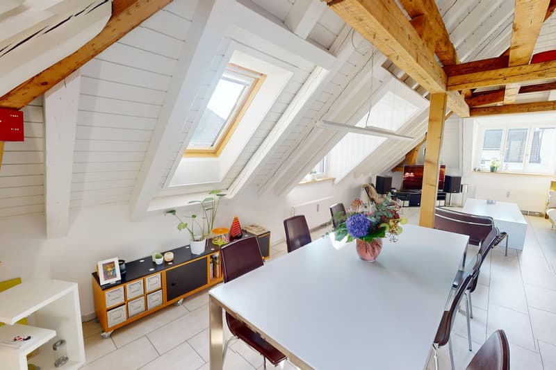 Exklusive Wohnung mit Dachterrasse (5)