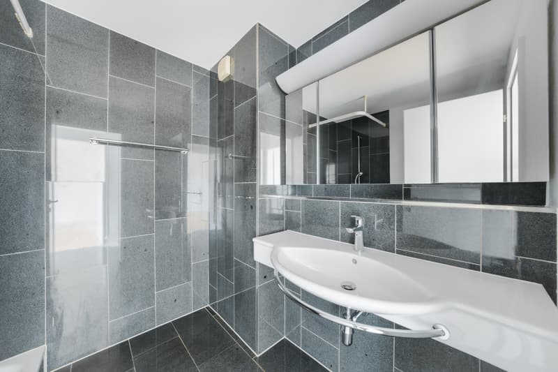 Maisonette 4,5 locali con galleria (2)