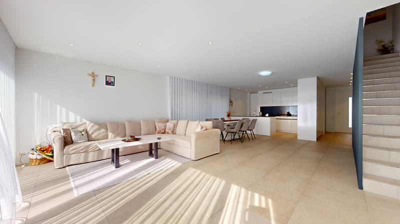 Modernes Einfamilienhaus mit großem Garten (1)