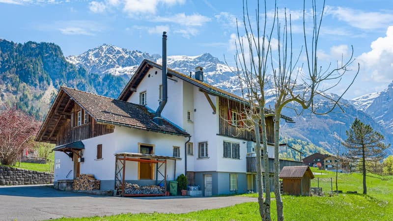 Aussenaufnahme ganzes Haus.jpg