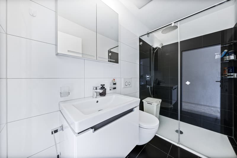 AgentSelly - Modern Home for Wellbeing (10)