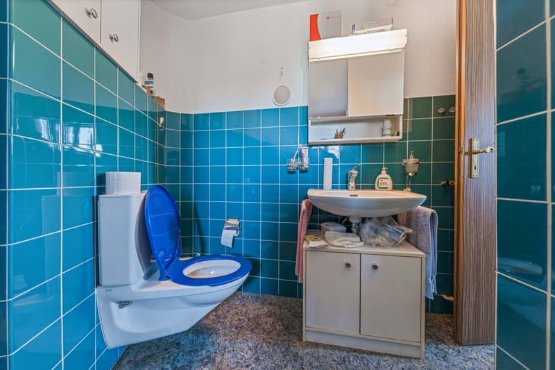 AgentSelly - Ein Zuhause mit Geschäftserfolg (7)
