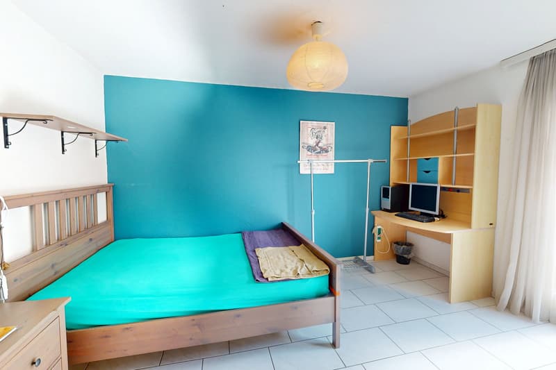 Grosszügige Wohnung mit grosser Terrasse (9)