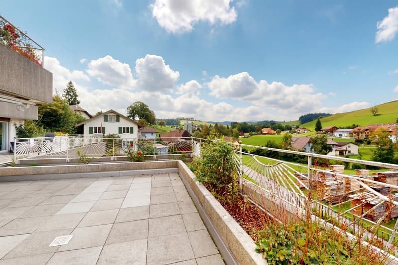 Grosszügige Wohnung mit grosser Terrasse (3)