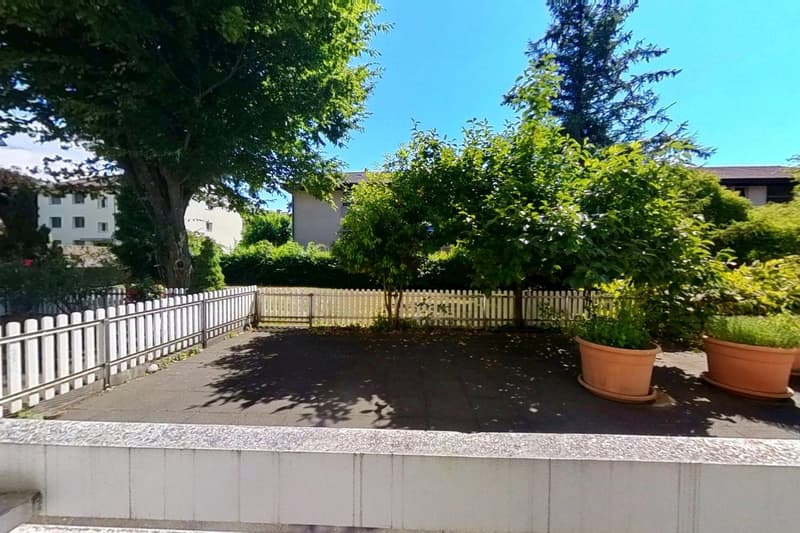 Grosszügige Parterre-Wohnung mit Terrasse (3)