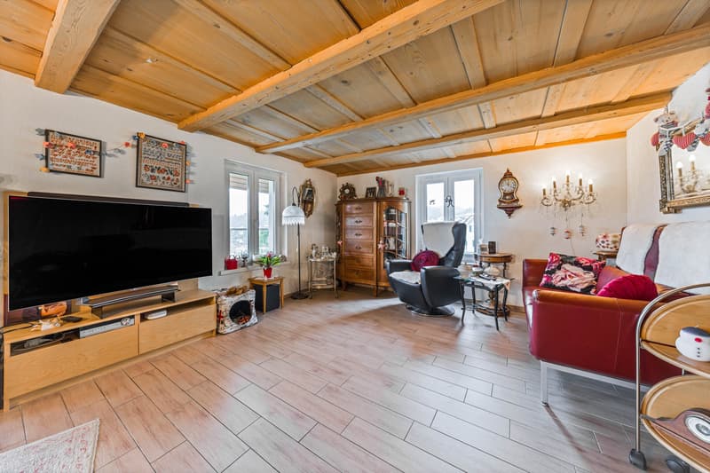 Two-family house with a far-reaching view (2)