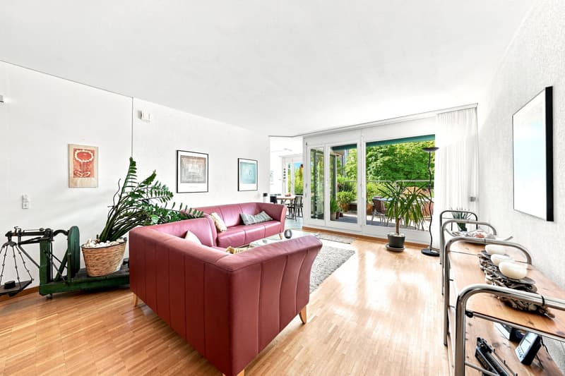 Modernes Wohnen mit sonniger Terrasse (6)