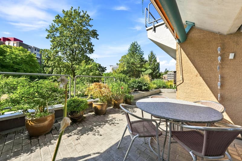 Modernes Wohnen mit sonniger Terrasse (13)