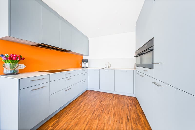 Grosszügige Wohnung mit modernem Ausbau (5)