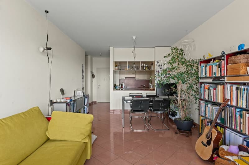 Aldesago 1.5 locali affittato con vista golfo di Lugano (8)