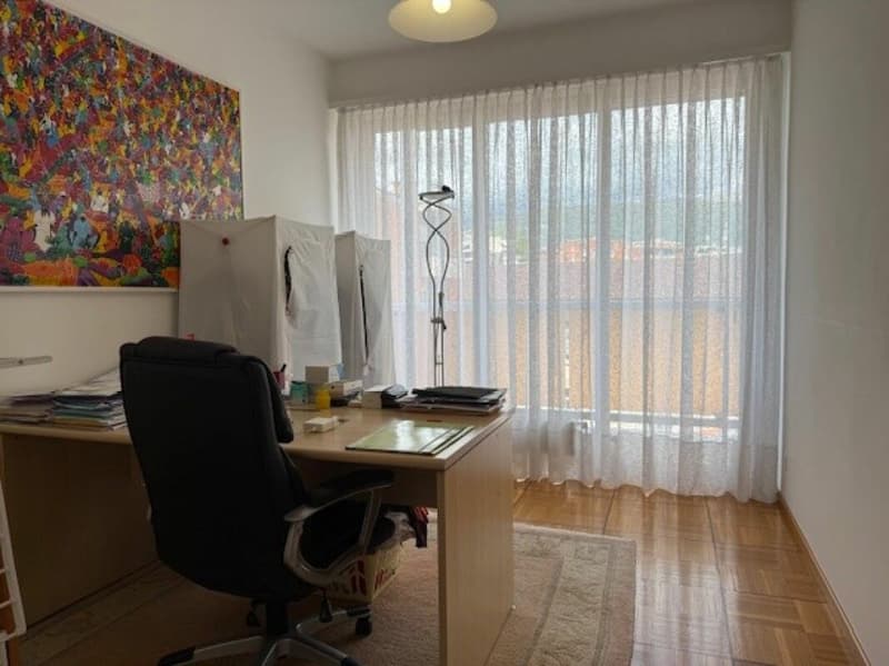 Appartamento 5.5 locali con ampia terrazza - zona prestigiosa di Lugano (11)