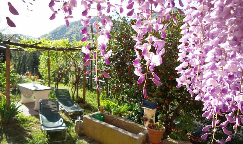 Bed & Breakfast - Immeuble avec terrain (4)