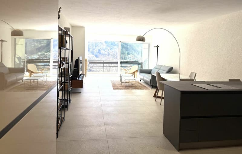 Magnificent 3.5 rooms in the Cadro residential resort (3)