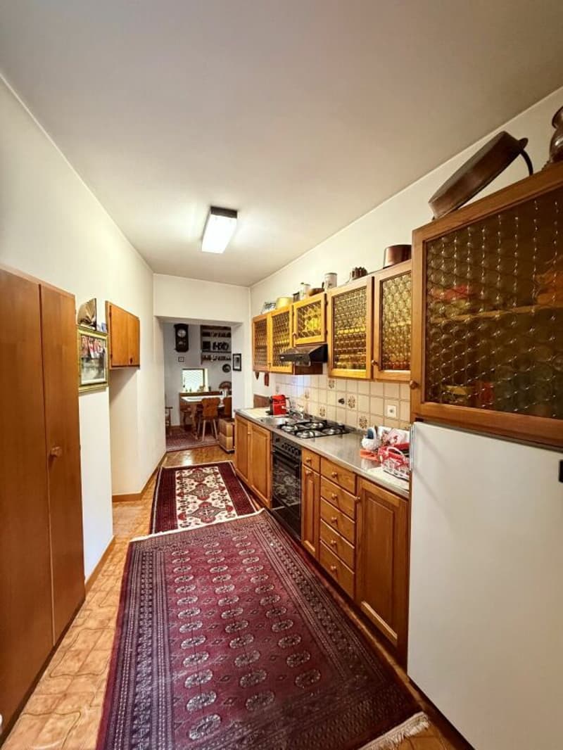 3.5 rooms in the heart of Montagnola (3)
