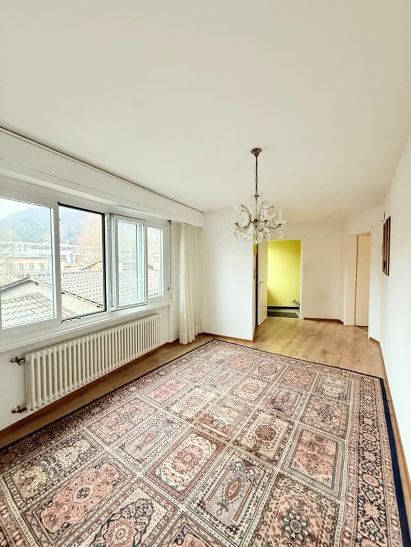 4,5 locaux dans le noyau de Montagnola (4)