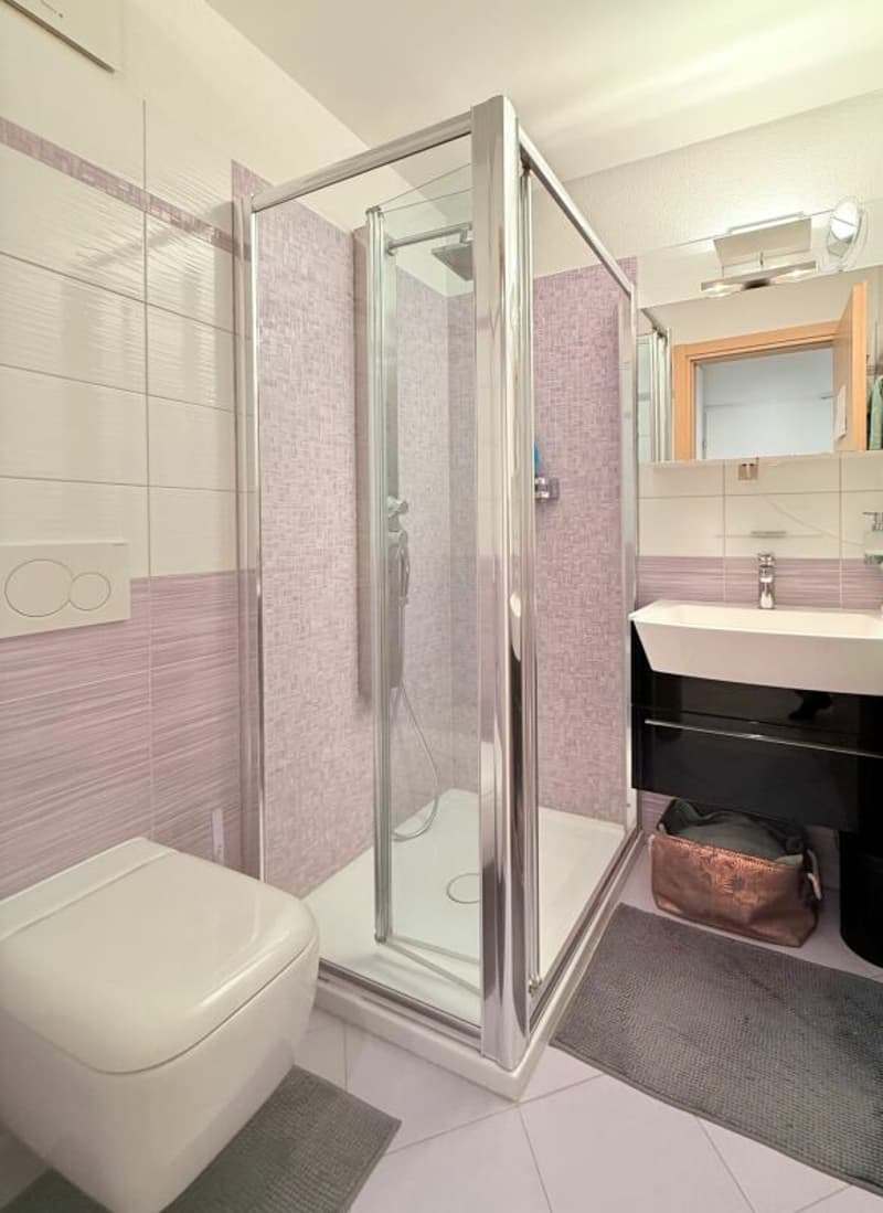 Appartement spacieux et lumineux 4.5 pièces avec jardin - Arbedo Castione (7)