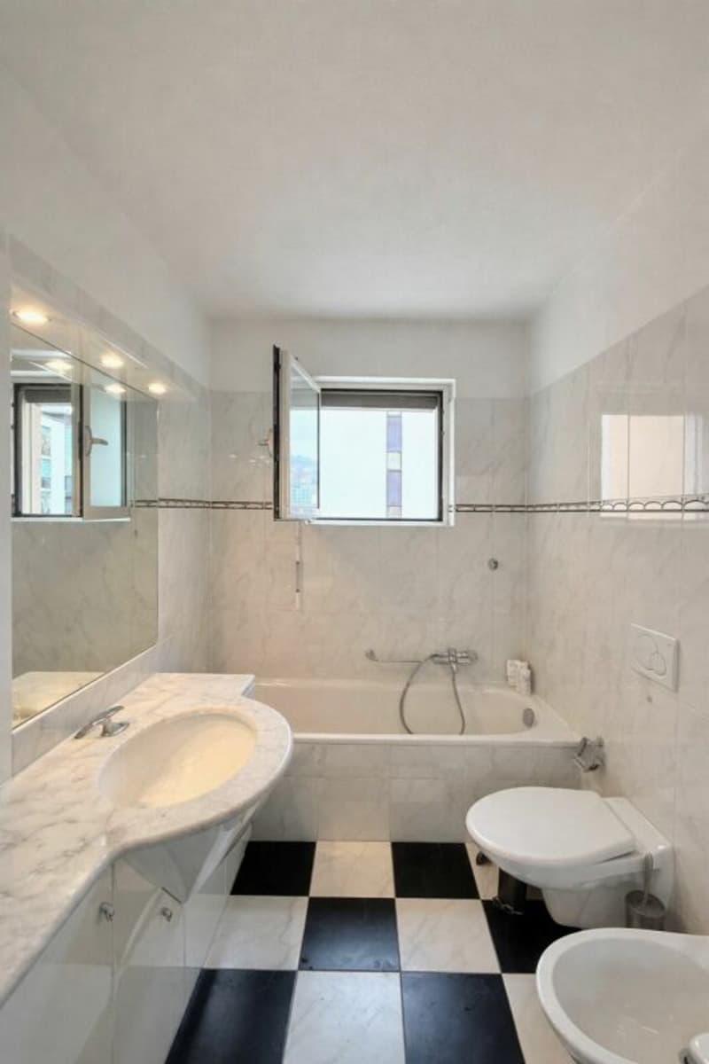 Prestigiosa Residenz 3.5 Lokale Viganello - strategische Lage (9)