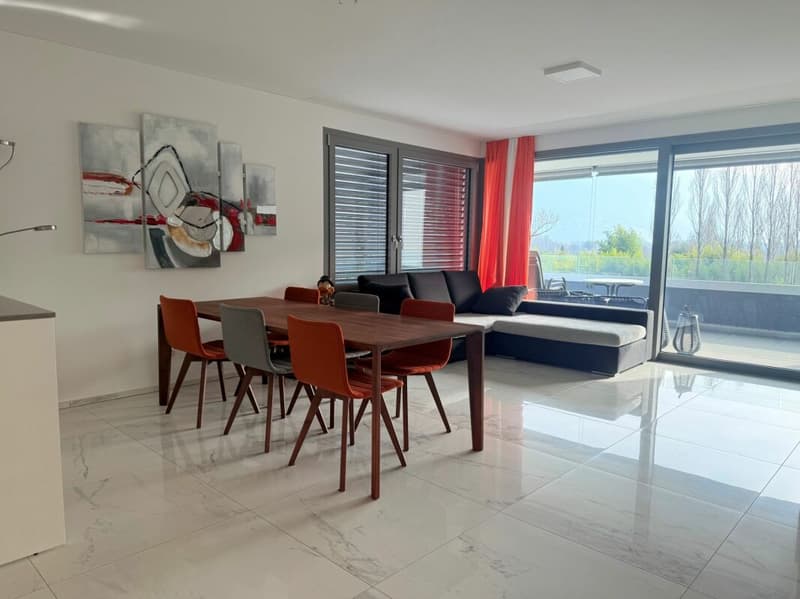 Zweitwohnsitz - Residenza secondaria - Appartamento 3.5 locali Locarno (3)