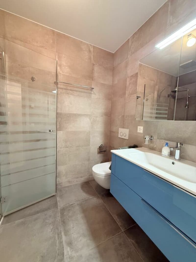 Zweitwohnsitz - Residenza secondaria - Appartamento 3.5 locali Locarno (8)