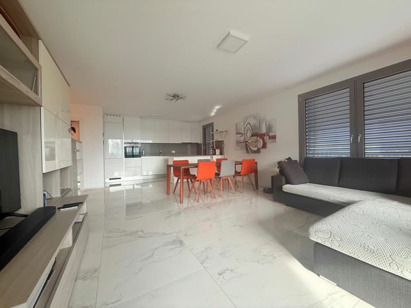 Zweitwohnsitz - Residenza secondaria - Appartamento 3.5 locali Locarno (4)