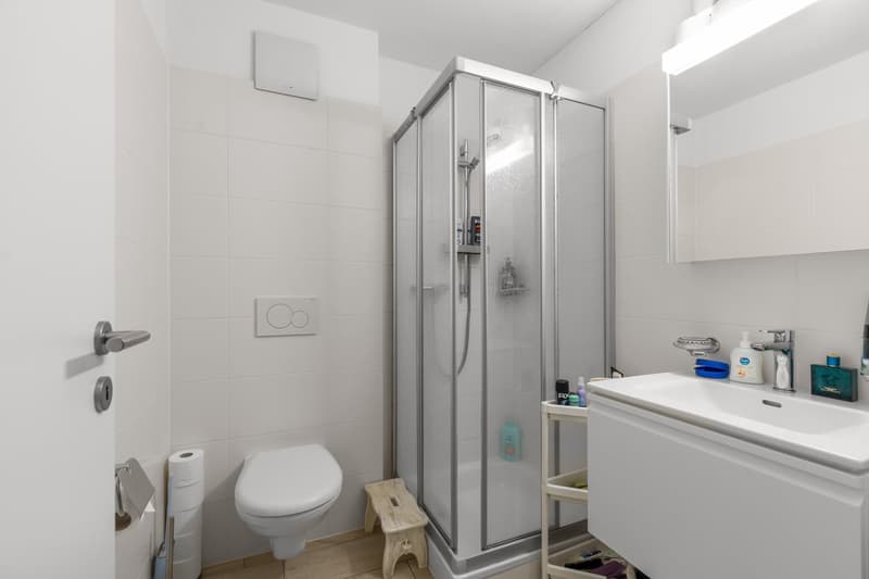 Zweitwohnsitz, 4½-Zimmer-Wohnung in der Nähe von Ascona (7)