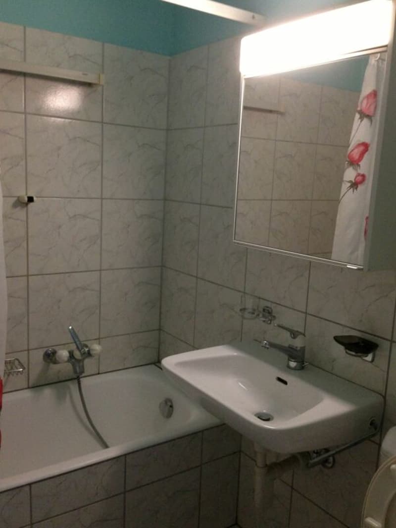 2,5 Zimmer Einkommensobjekt Lugano Stadt (6)