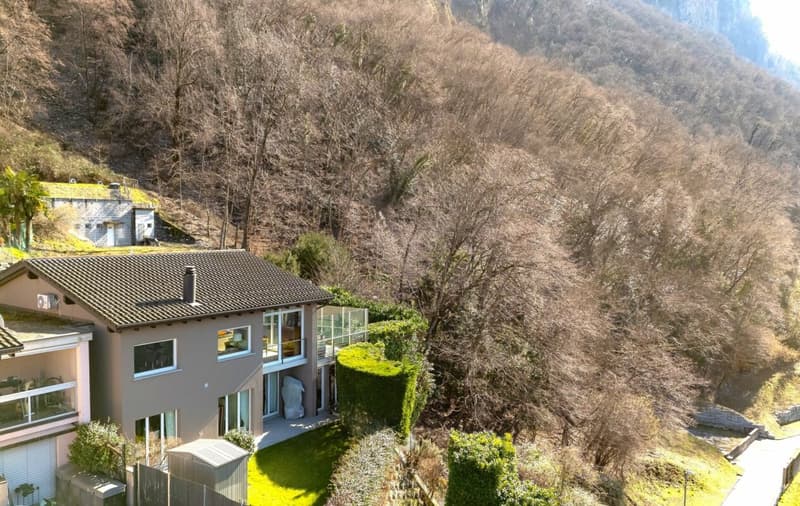 Exclusive House immersed in nature with 180° lake view (4)