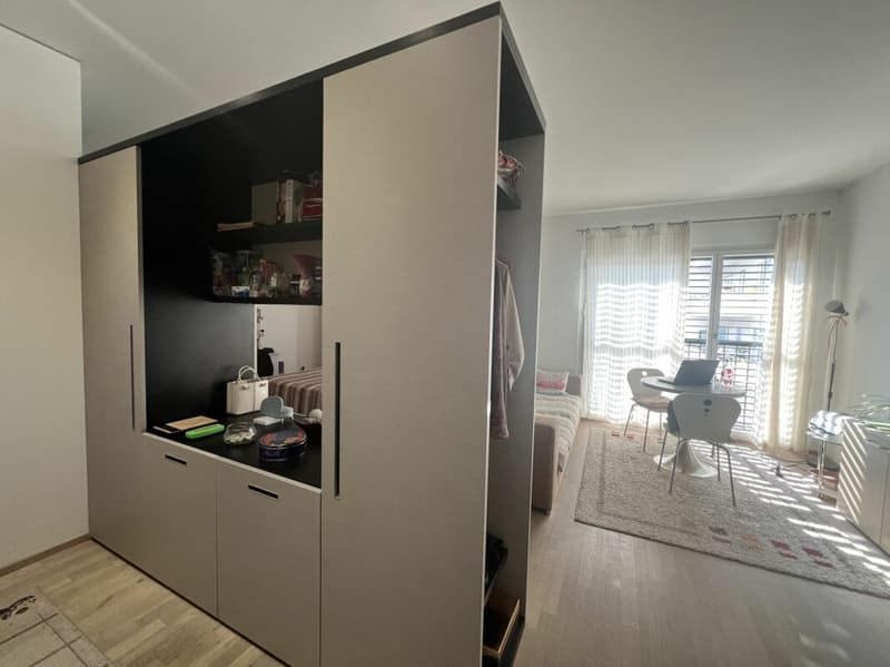 Joli 1.5 pièces à Lugano (4)