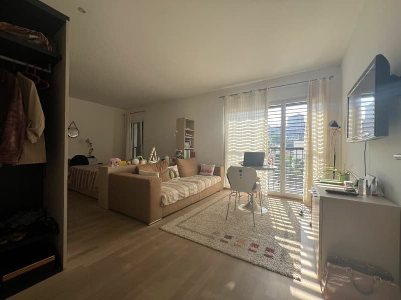 Joli 1.5 pièces à Lugano (3)