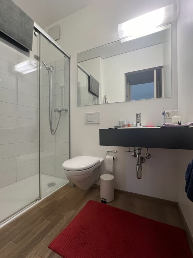 Joli 1.5 pièces à Lugano (8)