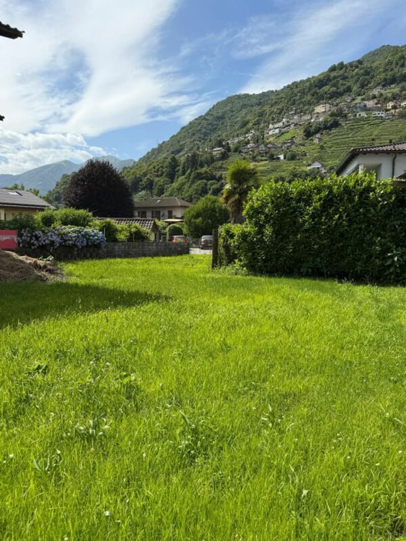 Terrain constructible 678 m2 Cugnasco (1)