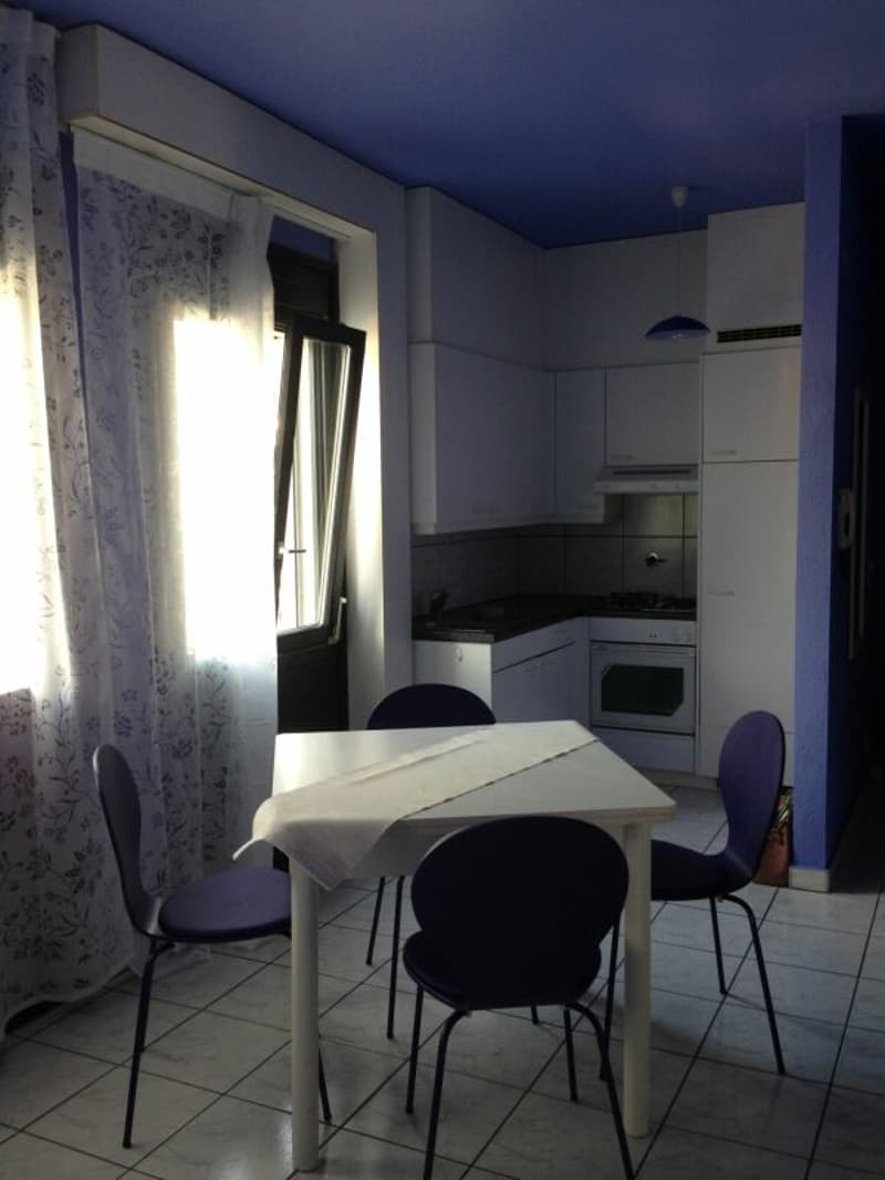 2.5 rooms rental property Lugano city (4)