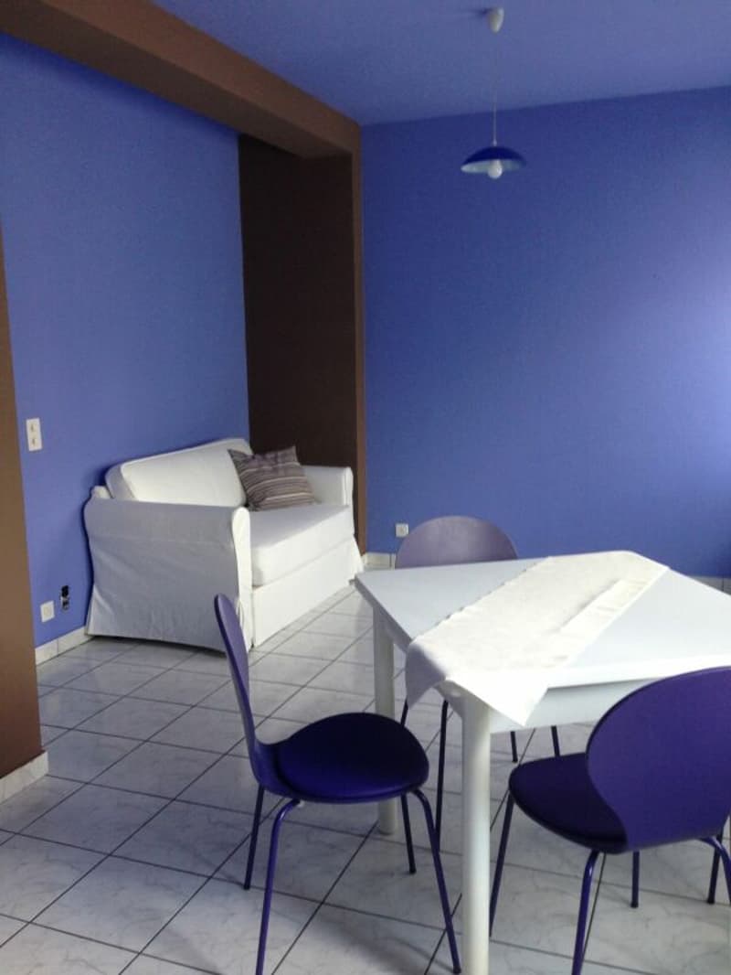 2.5 rooms rental property Lugano city (3)