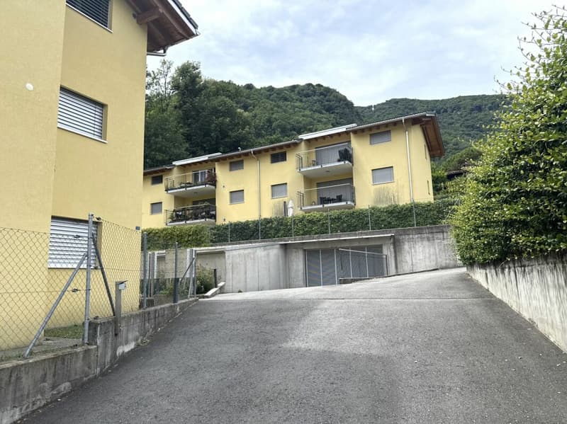 Zweitwohnsitz, 4,5-Zimmer-Wohnung in der Nähe von Ascona (11)