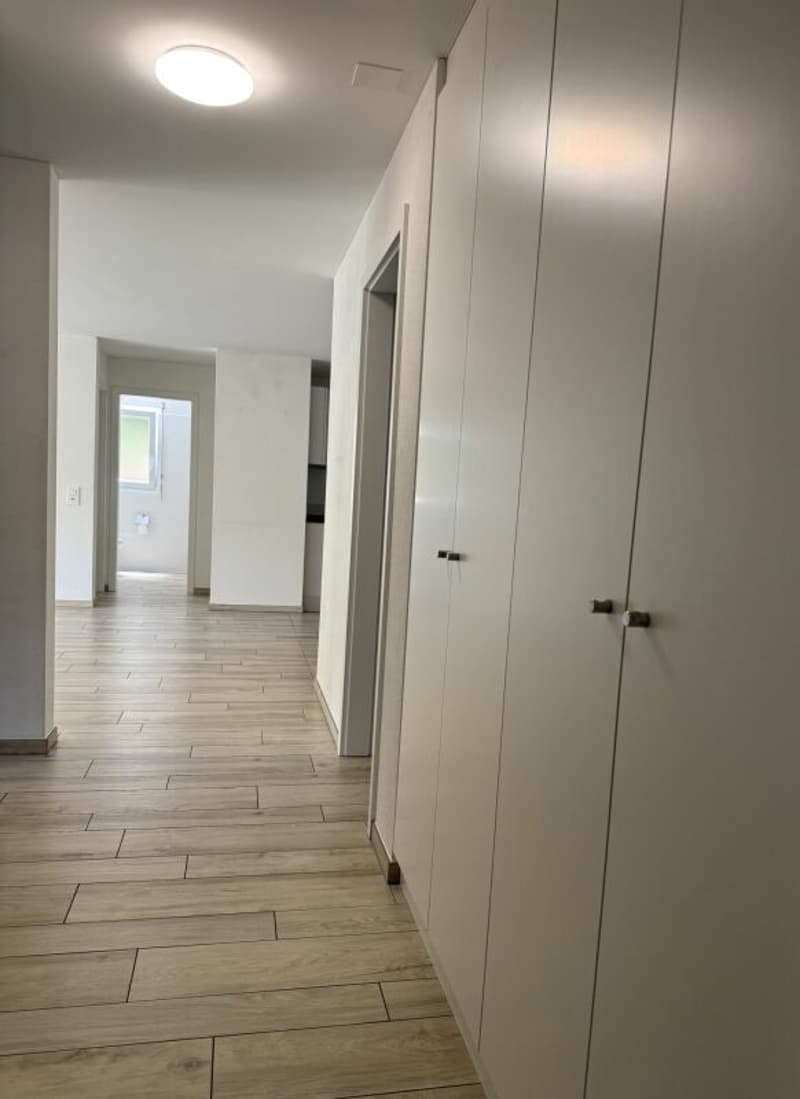 Zweitwohnsitz, 4,5-Zimmer-Wohnung in der Nähe von Ascona (7)